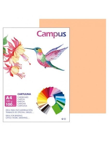 Cartulina A4 carne 180g Campus
